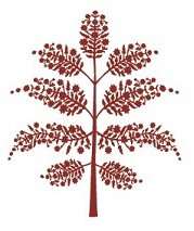SAI logo SAI logo