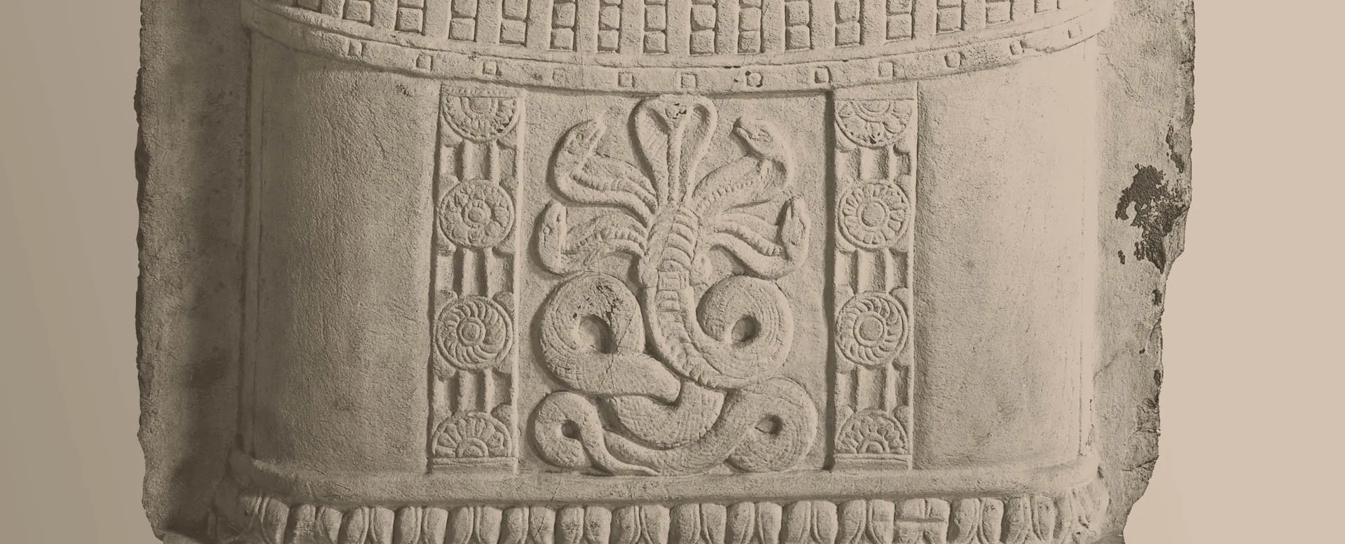 The Tree and the Serpent